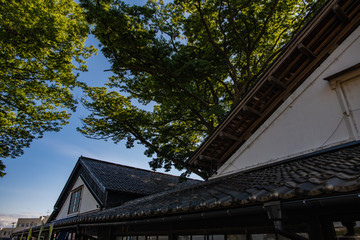 酒田市の山居倉庫