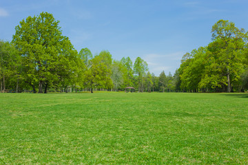 Green park