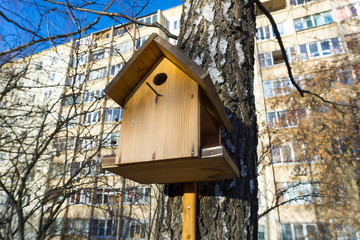 Birdhouse on a birch in winter against the background of a residential building.