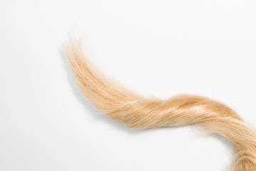 Fototapeta na wymiar Blond natural hair extensions isolated on white background. Clip