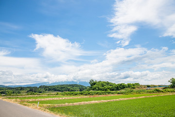 Fototapeta na wymiar 国道７号線の風景