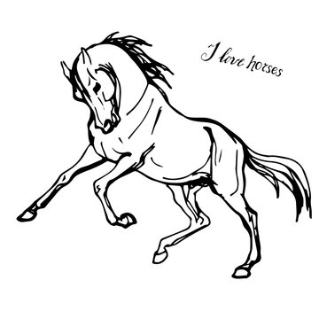  isolated image of prancing drawn heavy horses on white background and the inscription letteing