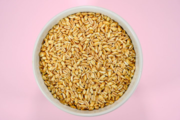 Raw Farro Dicocco Seeds