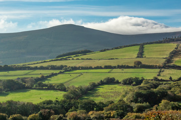 Obraz premium A Pattern of Green Fields in County Wicklow, Ireland