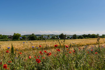 Middelhagen, Halbinsel Mönchgut, Rügen