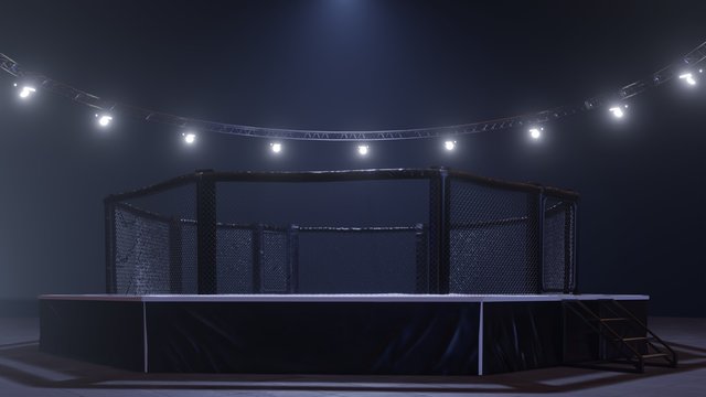 Mma arena side view. Empty fight cage under lights. 3D rendering