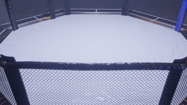 Mma arena. Empty fight cage under lights. 3D rendering