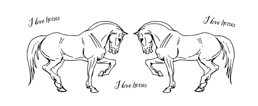  isolated image of prancing drawn heavy horses on white background and the inscription 