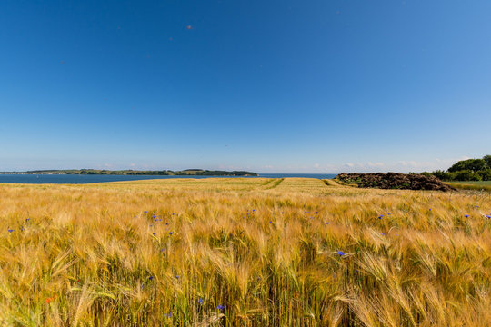 Reedevitzer H&ouml;ft, Halbsinel M&ouml;nchgut, Insel R&uuml;gen