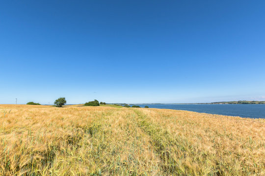 Reedevitzer H&ouml;ft, Halbsinel M&ouml;nchgut, Insel R&uuml;gen