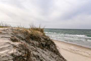 Dune at the Baltic Sea, Grass sand dune beach sea view
