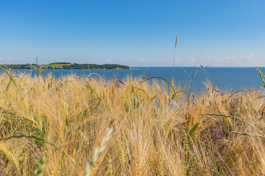 Reedevitzer H&ouml;ft, Halbsinel M&ouml;nchgut, Insel R&uuml;gen