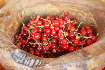 Ribes rubrum commonly Red Currant cultivated in the wooden pot, organic, macro photography