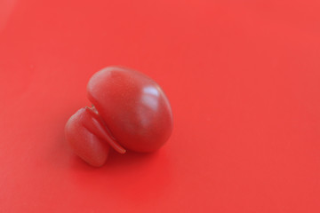 Ugly food concept, single deformed tomato on the red background, copy space.