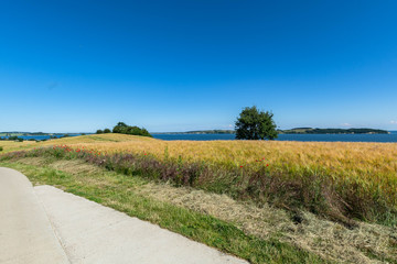 Reedevitzer H&ouml;ft, Halbsinel M&ouml;nchgut, Insel R&uuml;gen