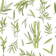 Bamboo trees vector seamless pattern. Background with bamboo plants and leaves. Green florals concept
