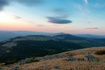 Naklejka premium pristine, untouched forest in the highlands