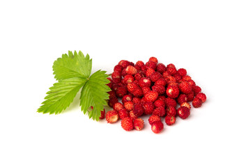 Wild strawberries isolated on white background.