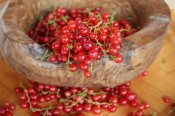 Ribes rubrum commonly Red Currant cultivated in the wooden pot, organic, macro photography