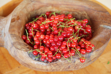 Ribes rubrum commonly Red Currant cultivated in the wooden pot, organic, macro photography