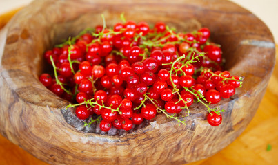Ribes rubrum commonly Red Currant cultivated in the wooden pot, organic, macro photography