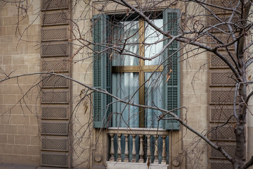 abstract window with twigs of tree 