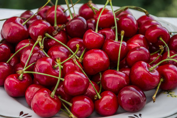 red sweet cherries in a plate on a white background. Close-up.