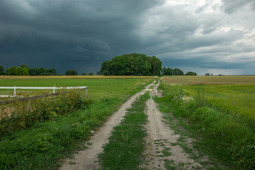 A dirt road through green fields, trees and a storm cloud