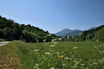 Fototapeta na wymiar Landschaft um das Höglwörther Kloster