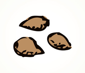Series of vector illustrations of archaeological finds. Remains of linen, fruit stones and seeds