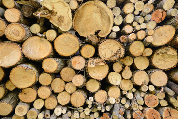 Old firewood with round cuts of logs