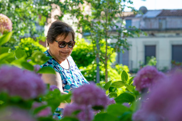 Mujer mayor (abuela) cuidando de las flores hortensias y otras plantas de su jardín en una tarde...