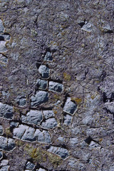 Blurred Shot Of Cracked Paint Texture. Abstract Texture Background. Cropped Shot of Painted Wall. Old Wall Background.