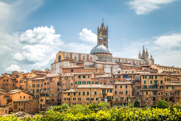Fototapeta na wymiar Siena town with Cathedral, view of ancient city in the Tuscany region of Italy, Europe.