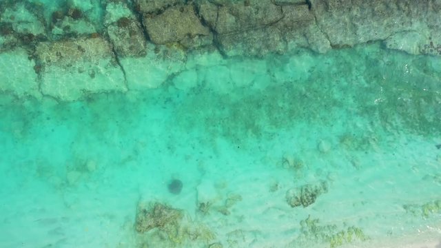 aerial drone high angle shot of turquoise Thailand sea with stone formations and corals with one Blue Spotted Stingray at Anita’s Reef, Similan Islands