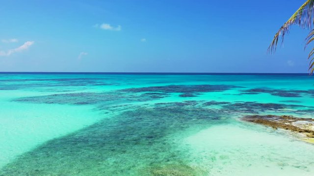 Crystal clear sea waters of Caribbean sea with sandy beach and palm tree corals on the seafloor, aerial drone dolly in shot