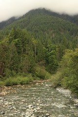 Lower falls trail, Golden Ears Provincial Park BC Canada 