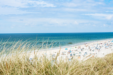 Crowded beach on a sunny summer day, seen through the dunes, Kampen, Sylt