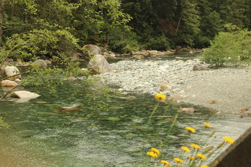 Lower falls trail, Golden Ears Provincial Park BC Canada 