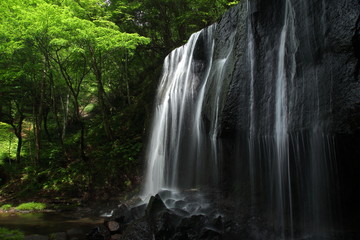 Fototapeta na wymiar 清涼感のある滝と緑の山林