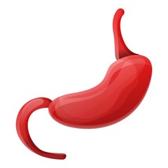 Human stomach icon. Cartoon of human stomach vector icon for web design isolated on white background