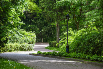 Park in Lviv 2019 Ukraina