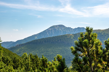 Tatry