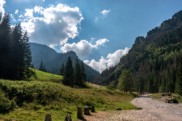 Dolina Kościeliska © Piotr