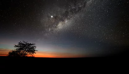 Fotobehang First hint of dawn in Kgalagadi Transfrontier Park, Africa. Orange horizon with stars and milky way. Dawn in a deserted savanna. African night landscape. Peaceful and quiet place. Camping in Africa. © Martin Mecnarowski