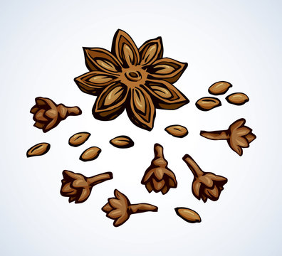 brown star anise and cloves drawing clip art preview