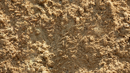 seamless background texture of yellow dry granular uneven sand