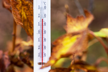 The thermometer on the background of autumn leaves shows 18 degrees of heat. Warm autumn_