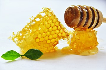Honey comd slice isolated on the white background