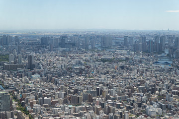 Fototapeta na wymiar Tokyo's Panorama